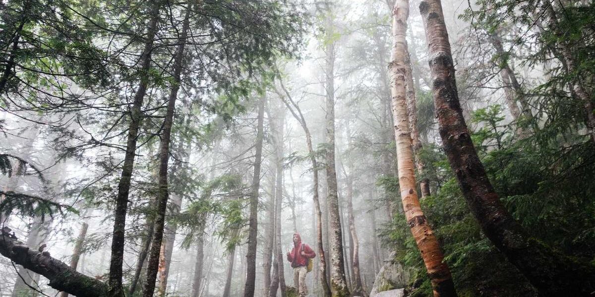 Explore the Thrill: Boardman CX Comp Review