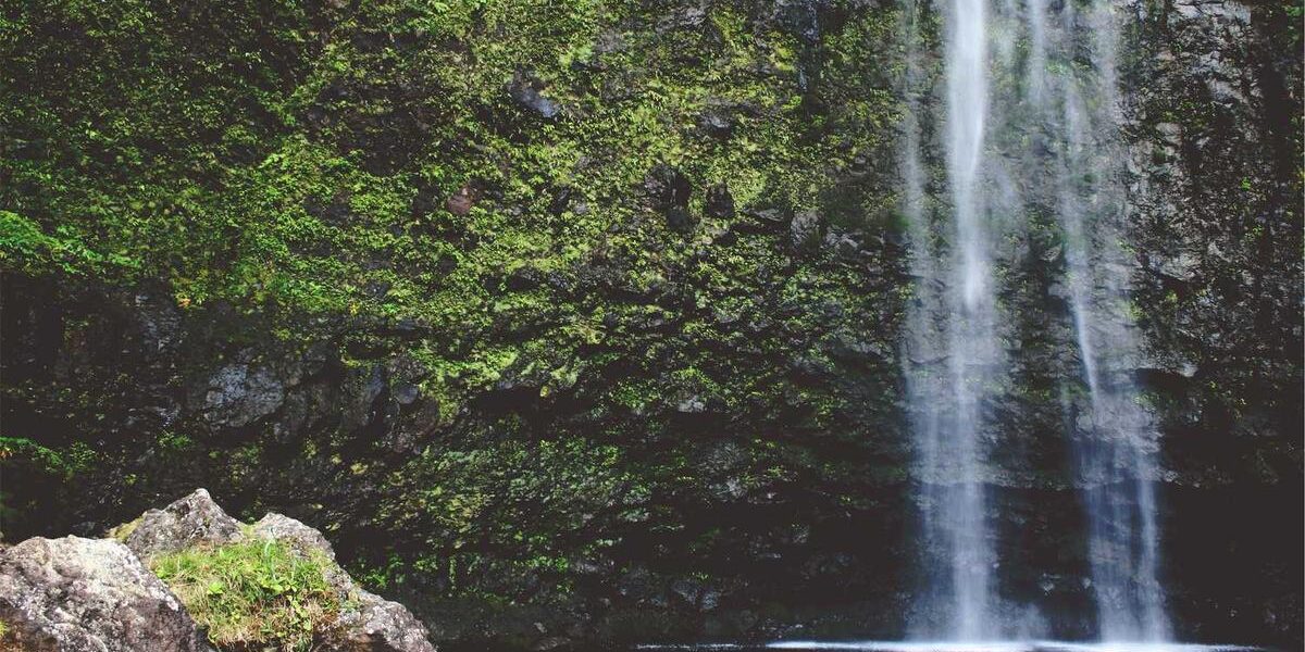 Garmin Forerunner 935: Features and Training Metrics